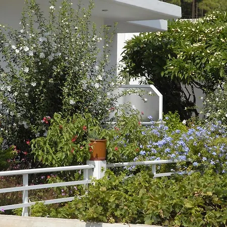 Apartament Georgias *